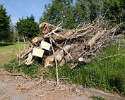 Holz fir Buerg 21.5.2020 001