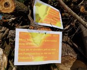 Holz fir Buerg 21.5.2020 003