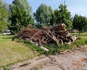 Holz fir Buerg 21.5.2020 004