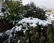 Diekirch 15.1.2021 006