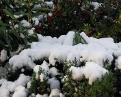 Diekirch 15.1.2021 007