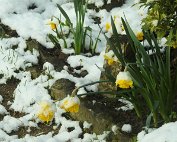 Diekirch 6.4.2021 006