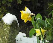 Diekirch 6.4.2021 007