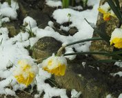 Diekirch 6.4.2021 008