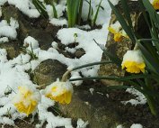 Diekirch 6.4.2021 009