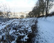 Natur 15.1.2021 014