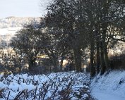 Natur 15.1.2021 015