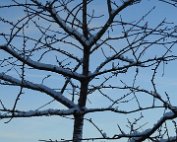 Natur 15.1.2021 016