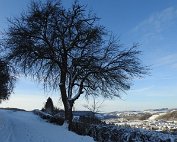 Natur 15.1.2021 017