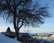 Natur 15.1.2021 018