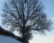 Natur 15.1.2021 019