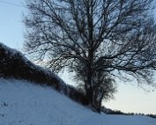 Natur 15.1.2021 020