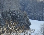 Natur 15.1.2021 023