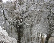 Natur 15.1.2021 024