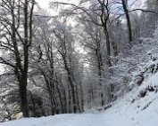 Natur 15.1.2021 025