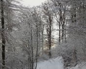Natur 15.1.2021 026