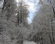 Natur 15.1.2021 028