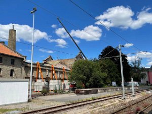 Brauerei 28.6.2022