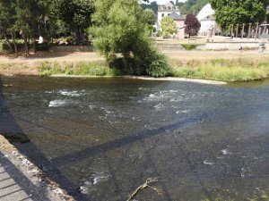 Park Sauer 16.8.2022