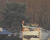Brauerei 21.1.2023 0002