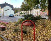 Diekirch 2.11.2023 0008