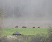 Kran Härebierg 14.4.2023 0005