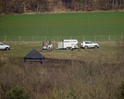 Baam planzen 20.3.2025 0001