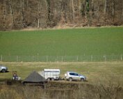 Baam planzen 20.3.2025 0004