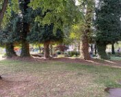 Park 22.8.2025 011